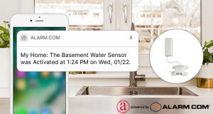 Read more about the article How to Prevent a Winter Washout with Smart Home Security